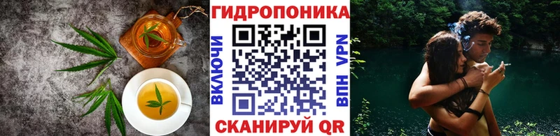 Cannafood конопля  Купить  Давлеканово 