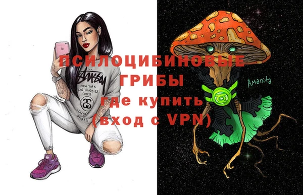 твердый Кодинск